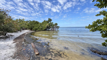 EMERSON POINT FL MANATEES | Emerson Point FL Rocks, Beach Sand - Unique Wedding Ring - Minter and Richter Designs