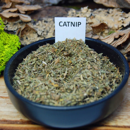 HIGH WITH MY CATS | Men's Marijuana, Moluccas Maccassar Wood, Catnip & Titanium Wedding Ring - Minter and Richter Designs