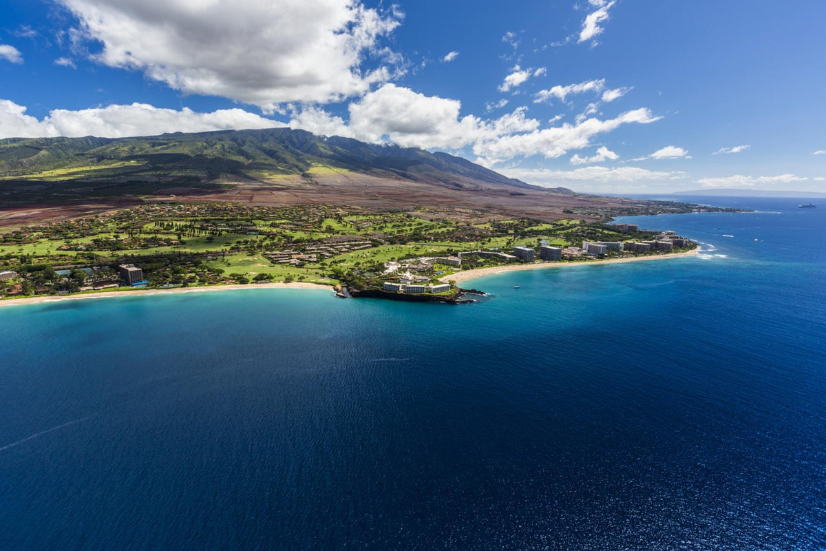 KAANAPALI MAGIC | Aquatic Blue Resin & Koa, Kaanapali Sand - Beach Sand Ring - Wooden Wedding Ring - Minter and Richter Designs