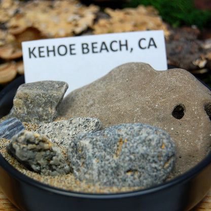 KEHOE BEACH REDWOOD | Men's Kehoe Beach Sand, CA Redwood & Titanium Wedding Ring - Minter and Richter Designs