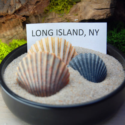 LONG ISLAND SEAS | Men's Beach Sand, Box Elder & Titanium Wedding Ring - Minter and Richter Designs