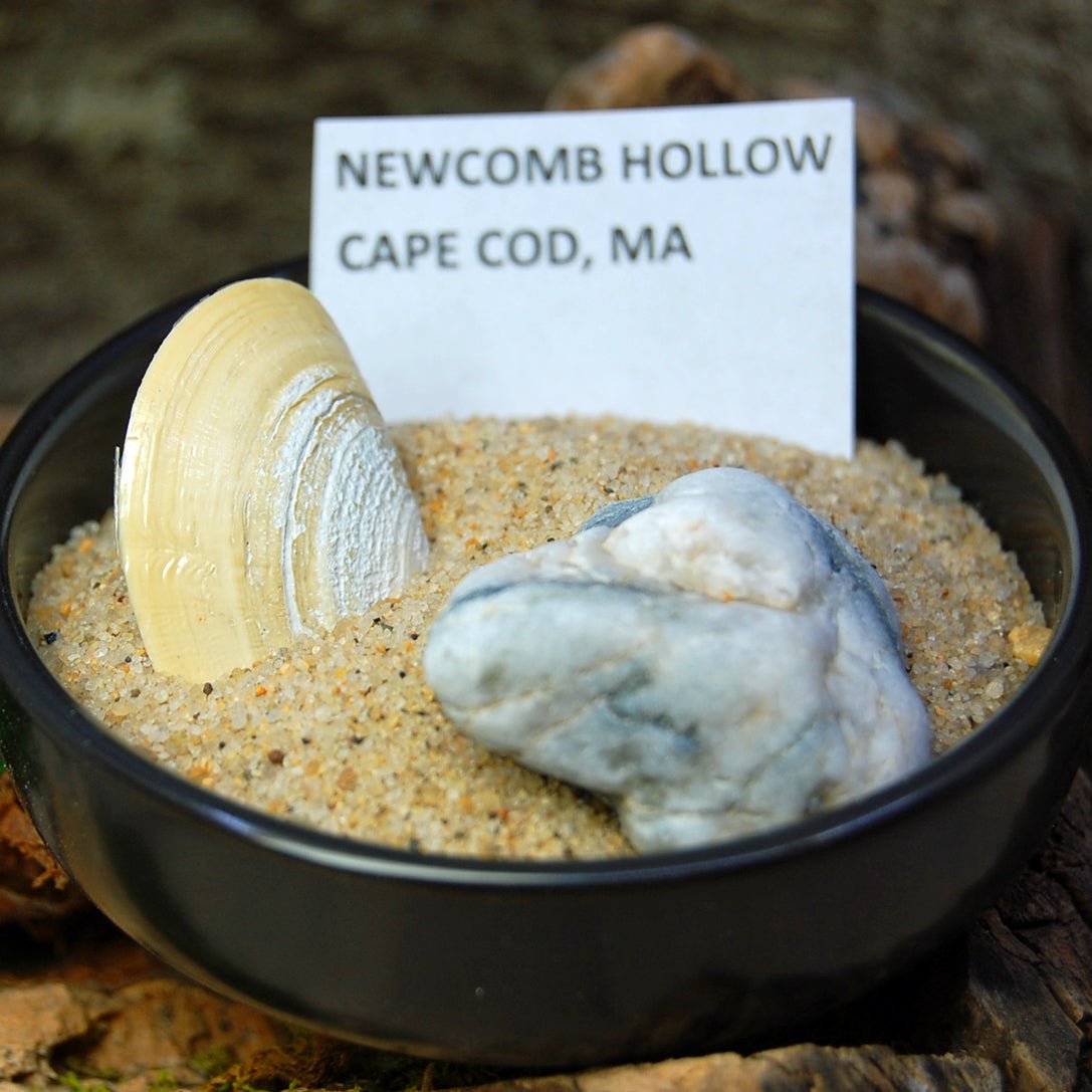 Newcomb Hollow Cape Cod | Men's Beach Sand, Koa Wood, Blue Marlbed Opalescent & Titanium Wedding Ring - Minter and Richter Designs