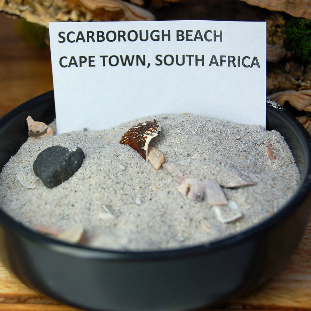SCARBOROUGH BEACH CAPE TOWN SOUTH AFRICA | South African Beach Sand - Unique Wedding Ring - Minter and Richter Designs