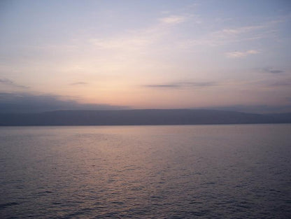 Sunrise on Galilee | Sea of Galilee Beach Sand, Charoite & Titanium Wedding Ring - Minter and Richter Designs