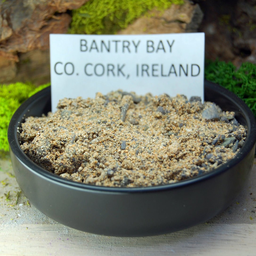 T - REX TAKES PUB IN COUNTY CORK | Men's T - Rex Tooth, Irish Bog Oak, Connemara Marble, County Cork Beach Sand & Titanium Wedding Ring - Minter and Richter Designs