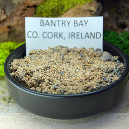 T - REX TAKES PUB IN COUNTY CORK | Men's T - Rex Tooth, Irish Bog Oak, Connemara Marble, County Cork Beach Sand & Titanium Wedding Ring - Minter and Richter Designs