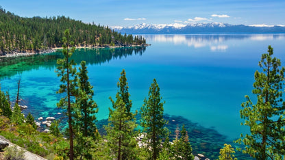 Tahoe at Night | Men's California Redwood, Lake Tahoe Stones & M3 Titanium Wedding Ring - Minter and Richter Designs