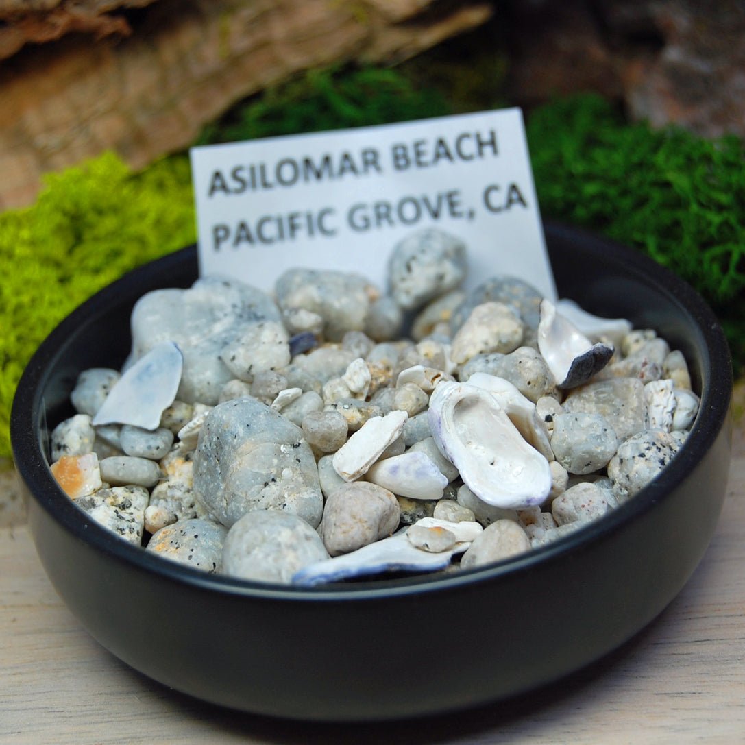 THREE SISTERS | Blue Bronze Mokume Gane, Gold & Beach Sand and Sea Shells Wedding Ring - Minter and Richter Designs