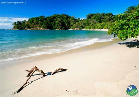 White Clouds in Costa Rica Set | Beach Sand Rings - Wedding Rings - Unique Wedding Rings - Minter and Richter Designs