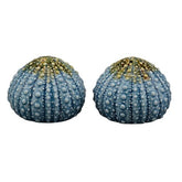 BLUE URCHIN BOX SALT AND PEPPER SHAKERS | Bridal Gift - Wedding Gift - Minter and Richter Designs
