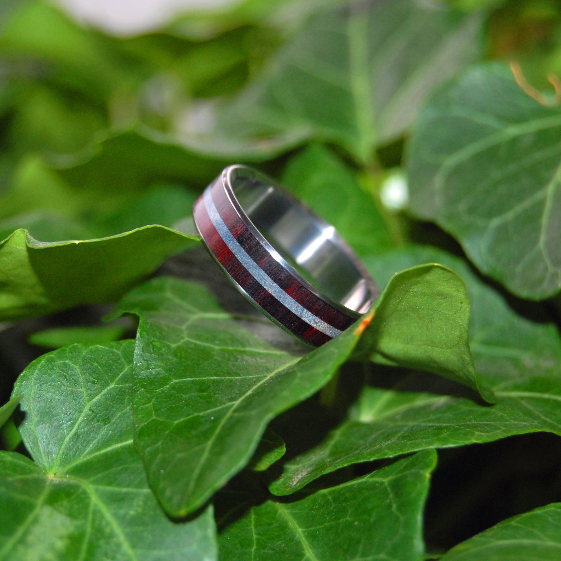Trust | Rosewood and Blue Maple Wood - Titanium Wedding Ring - Minter and Richter Designs