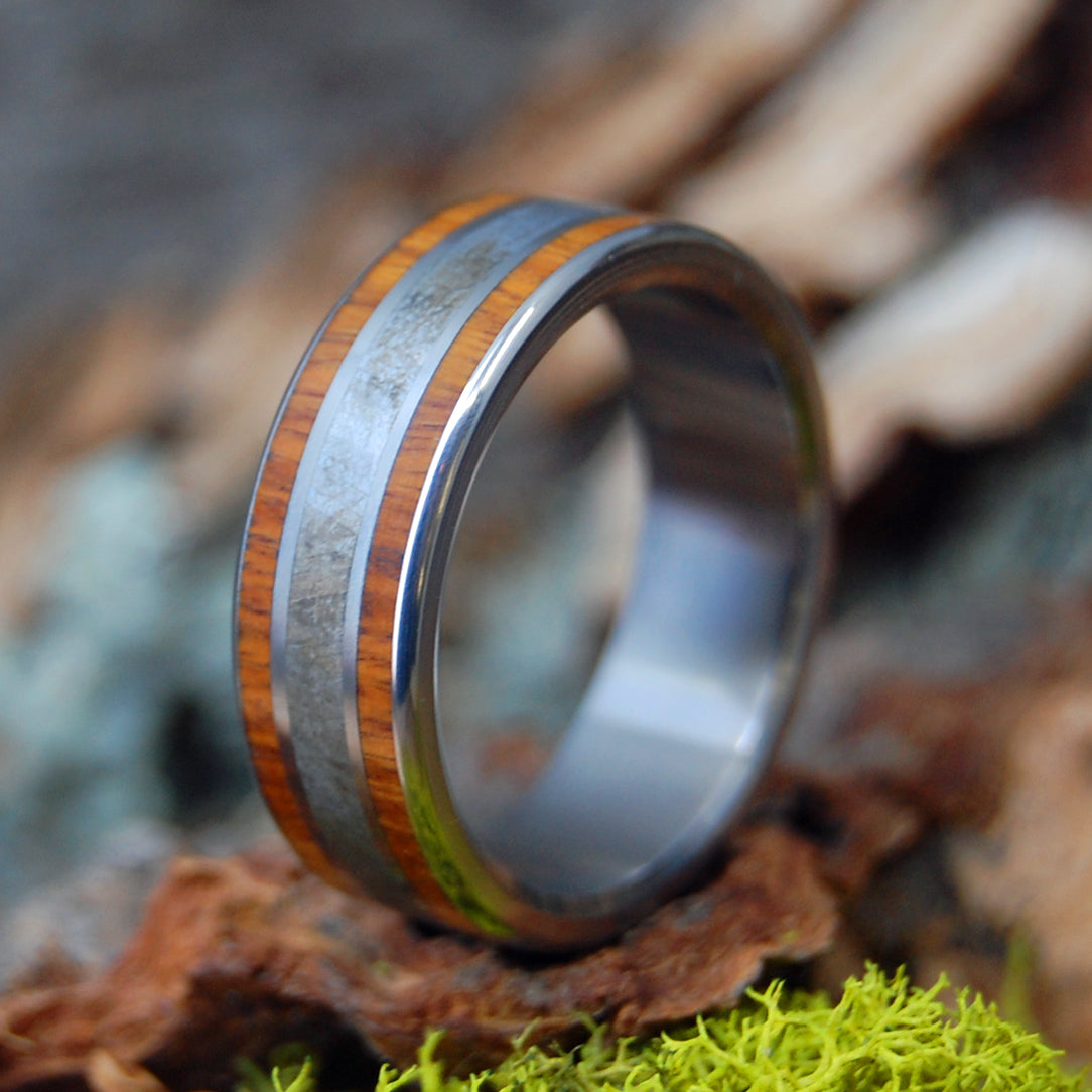 LIGNUM VITAE METEORITE | Meteorite & Lignum Vitae - Titanium Wedding Rings - Minter and Richter Designs