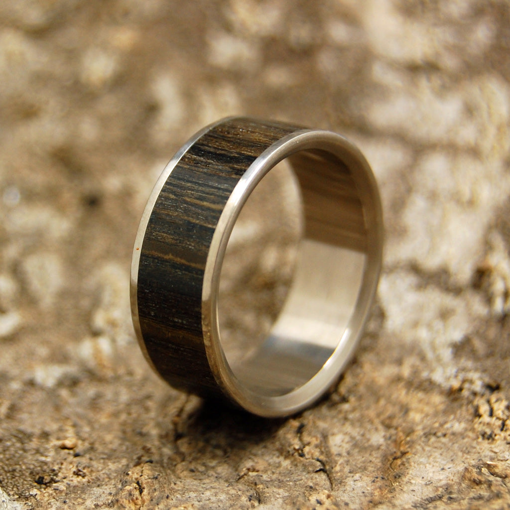 Ukrainian Bog Oak | Ancient Woods Titanium Wedding Ring - Minter and Richter Designs